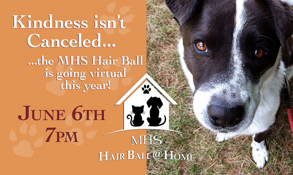 Hairball