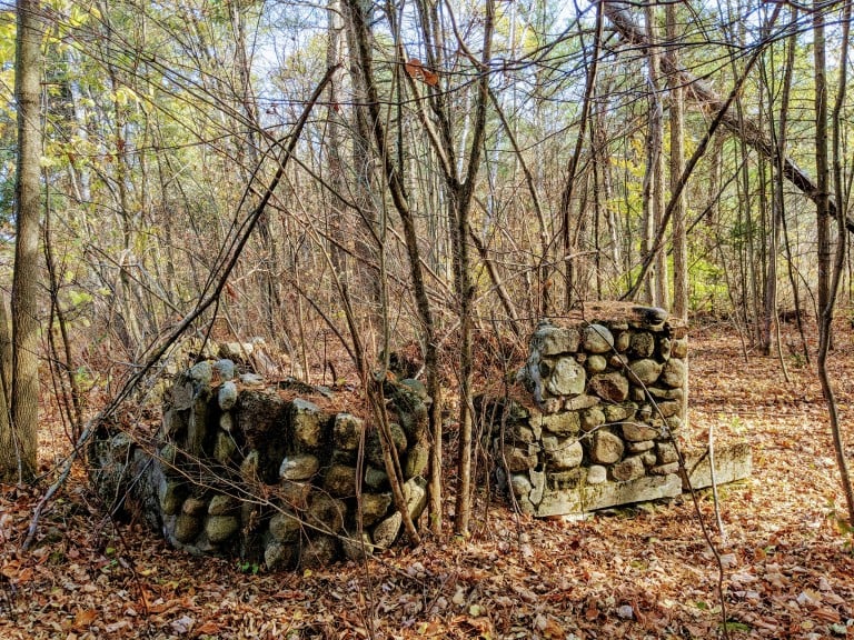 Old Woods and Old Wars - New Hampshire Magazine