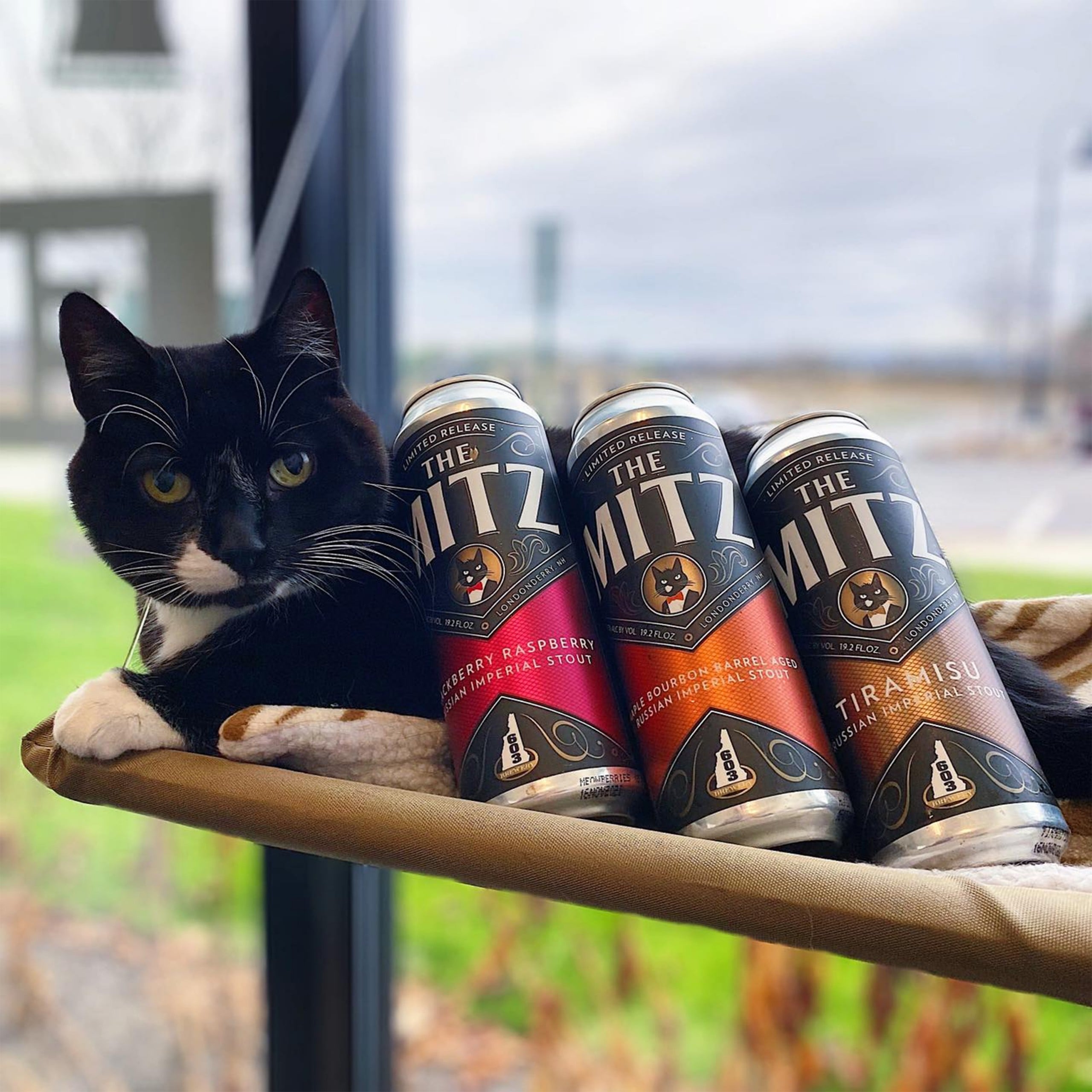 Tasting From the Couch - New Hampshire Magazine