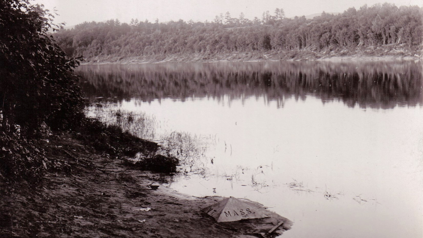 Riding the Mud Turtle - Vimarsana News