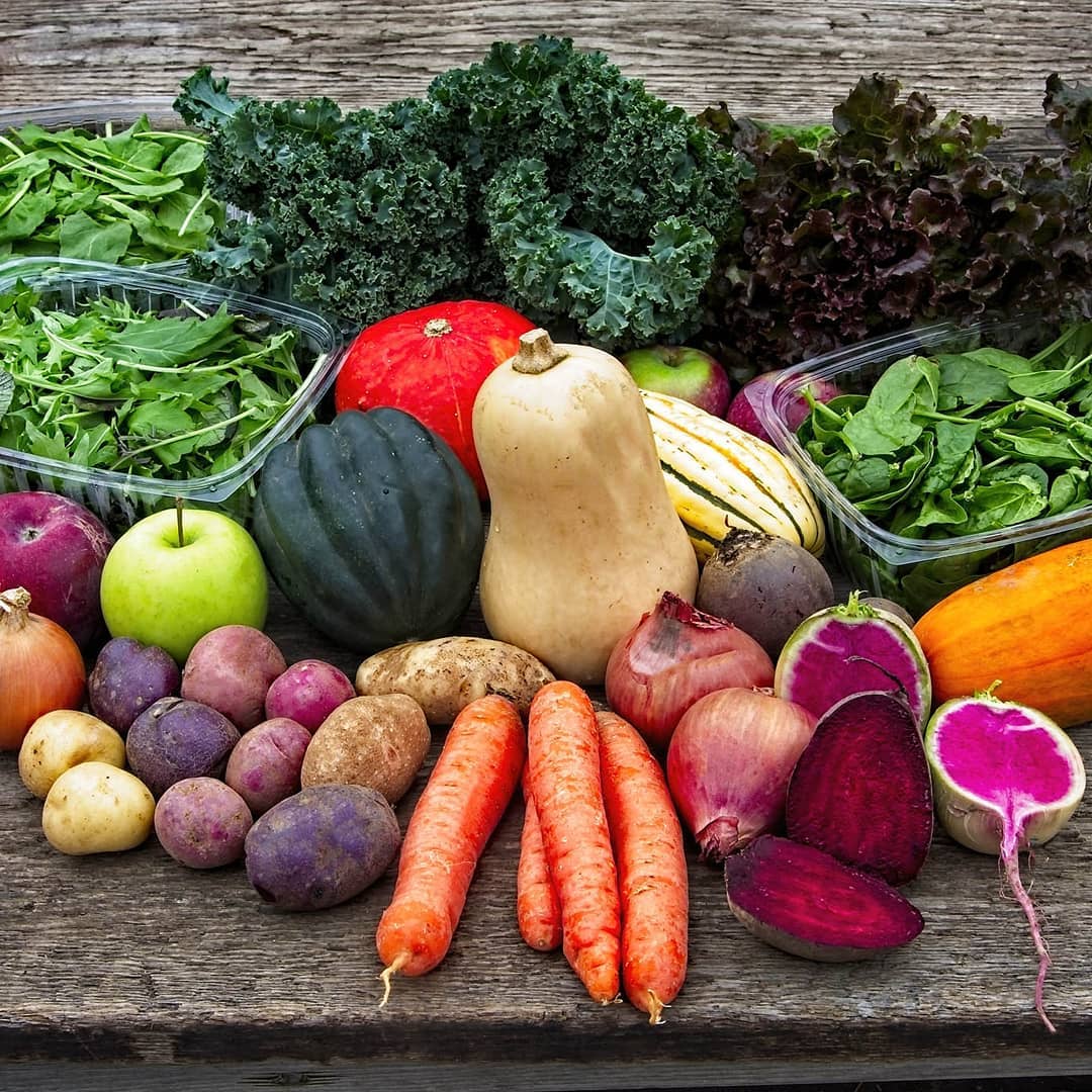 Meet Your Local Farm: Heron Pond Farm's Greg Balog and Andre Cantelmo - Vimarsana News
