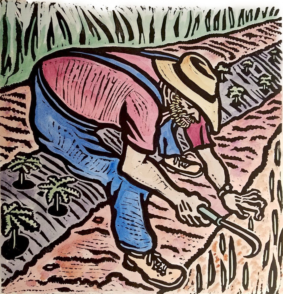 Garden1b
