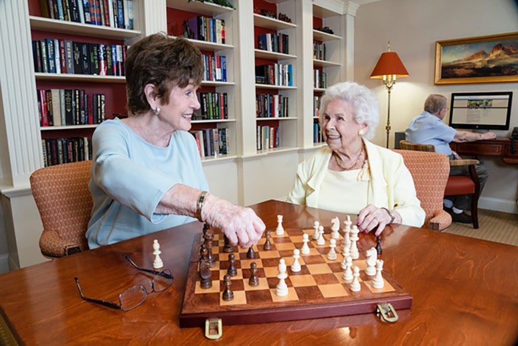 Windam Chess Game