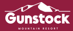 Screenshot 2023 05 17 At 16 08 06 Gunstock Adventure Park Zip Line Ata Aerial Treetop Mountain Coaster