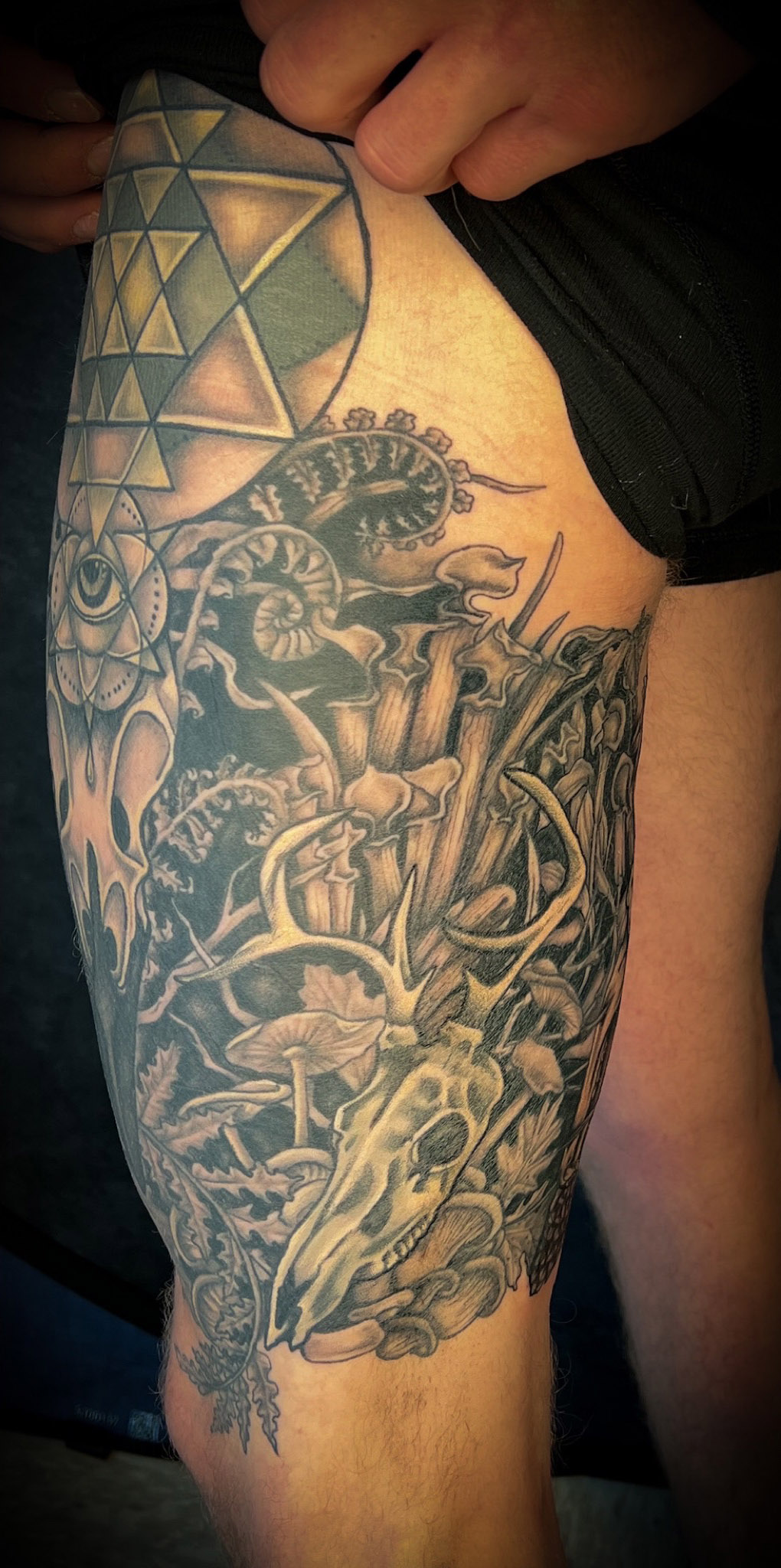 david-robinson-alchemy-tattoo | Alchemy Tattoo 2854 W Sunset… | Flickr