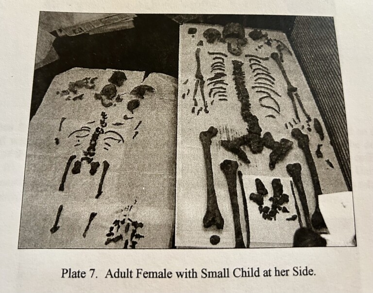 Amherst Skeletons