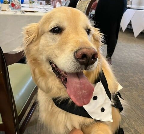 Cooper Tuxedo Pic 2
