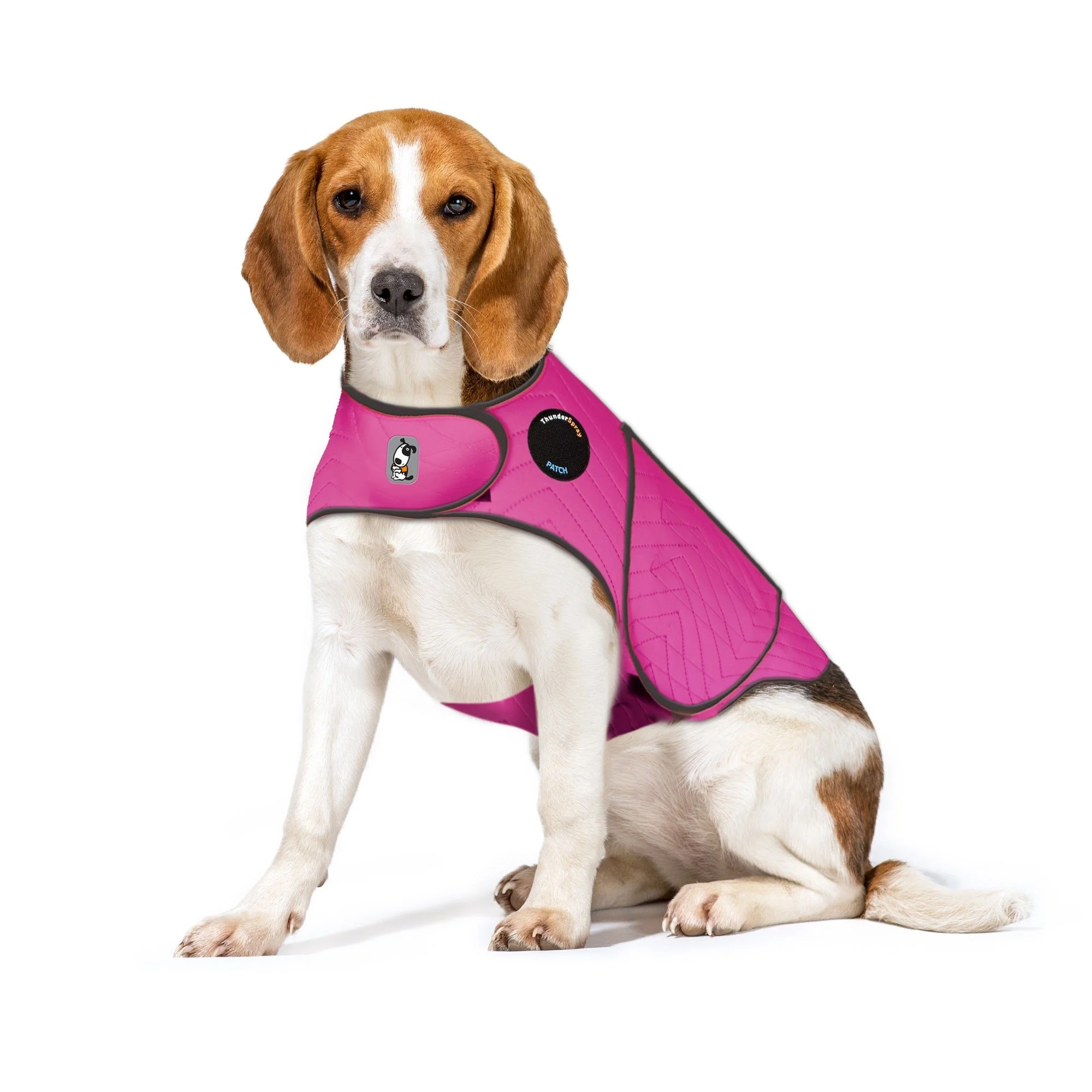 Calming Treats and Calming Coats