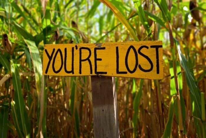Cornmaze Lost