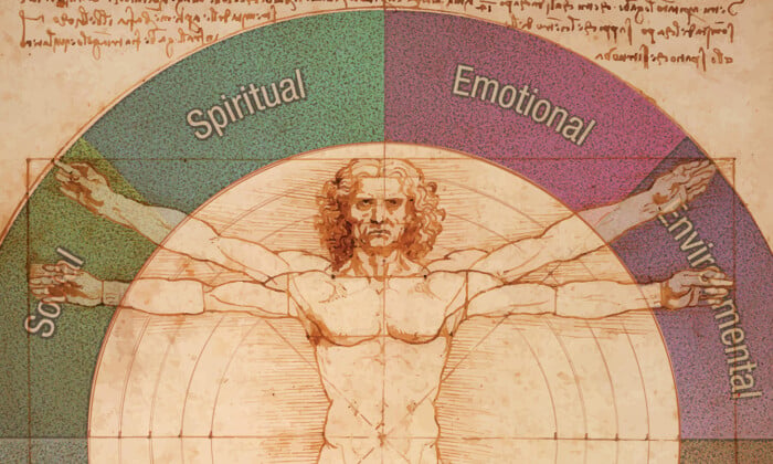 Wellness Wheel 408635744