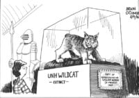 1982extinctwildcatunh