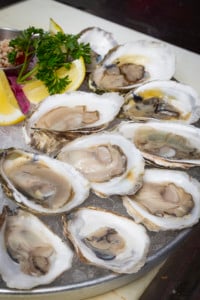 Guide to Local New Hampshire Oysters and Where to Find Them