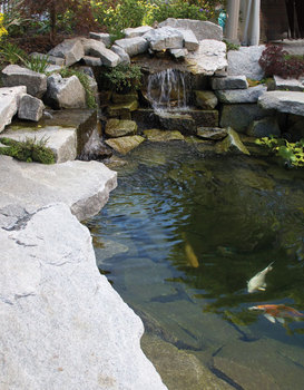 Mesmerizing Koi Ponds - New Hampshire Magazine