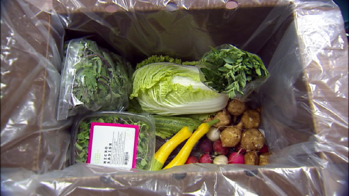 Produce included in Thursday’s LINC Foods box.