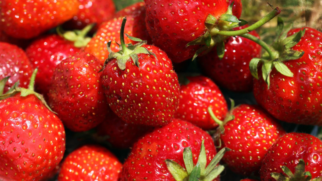 strawberries-strawberry-fruit-jpg_11005696_ver1-0.jpg