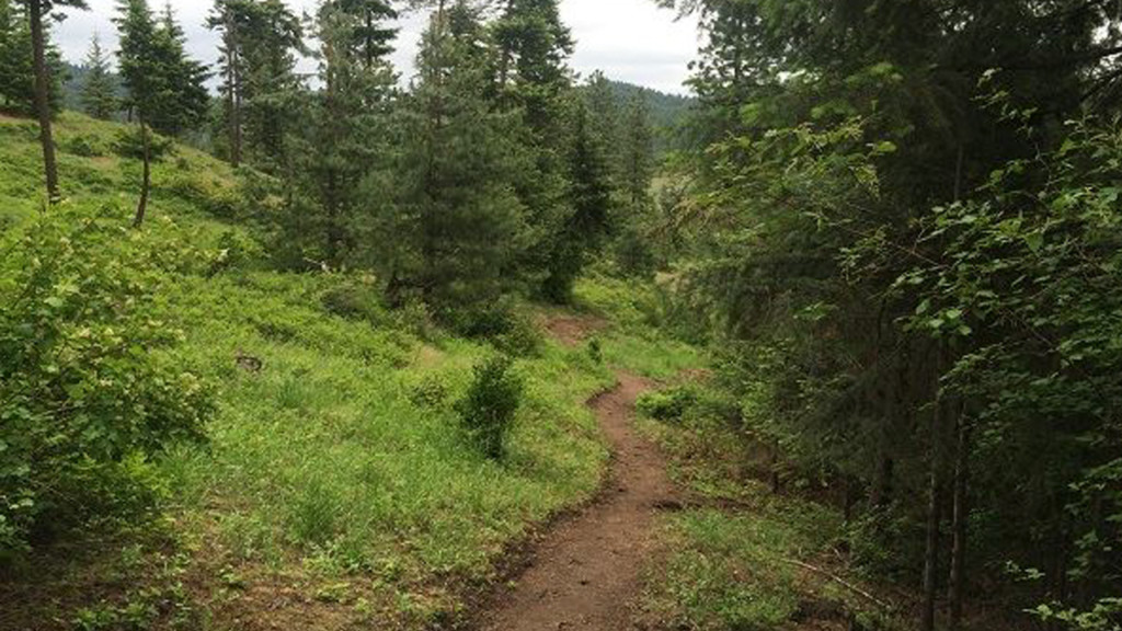 Spokane Co. acquires 230 acres of land to add to Antoine Peak Conservation area