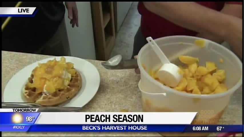 It’s time for Peach Month at Beck’s Harvest House
