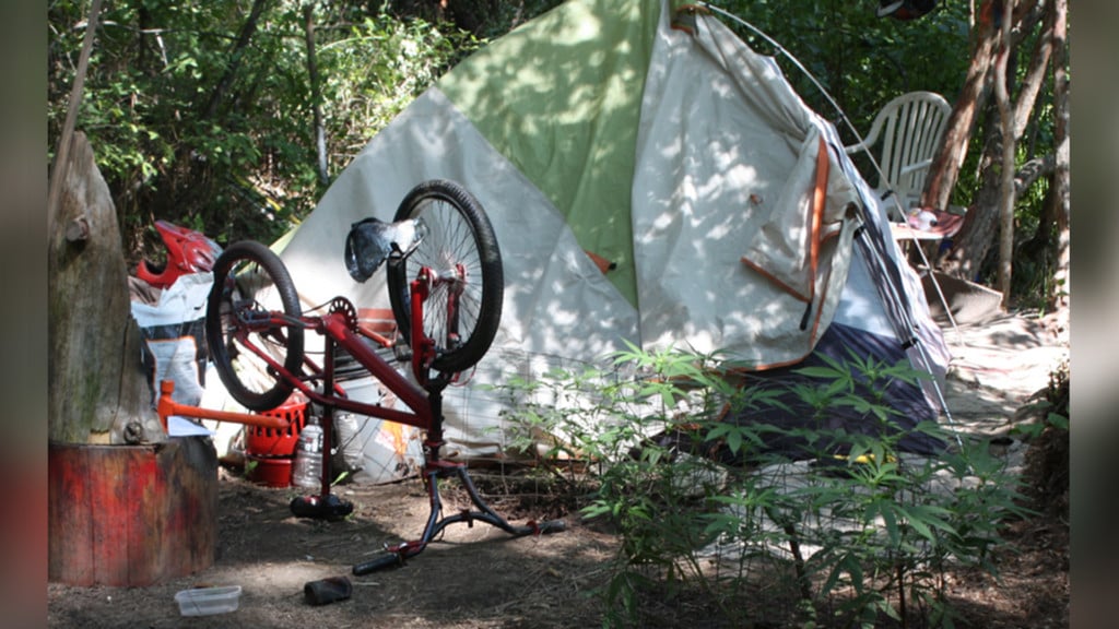 Spokane employee injured by “booby-trapped” homeless camp, designed to protect pot grow