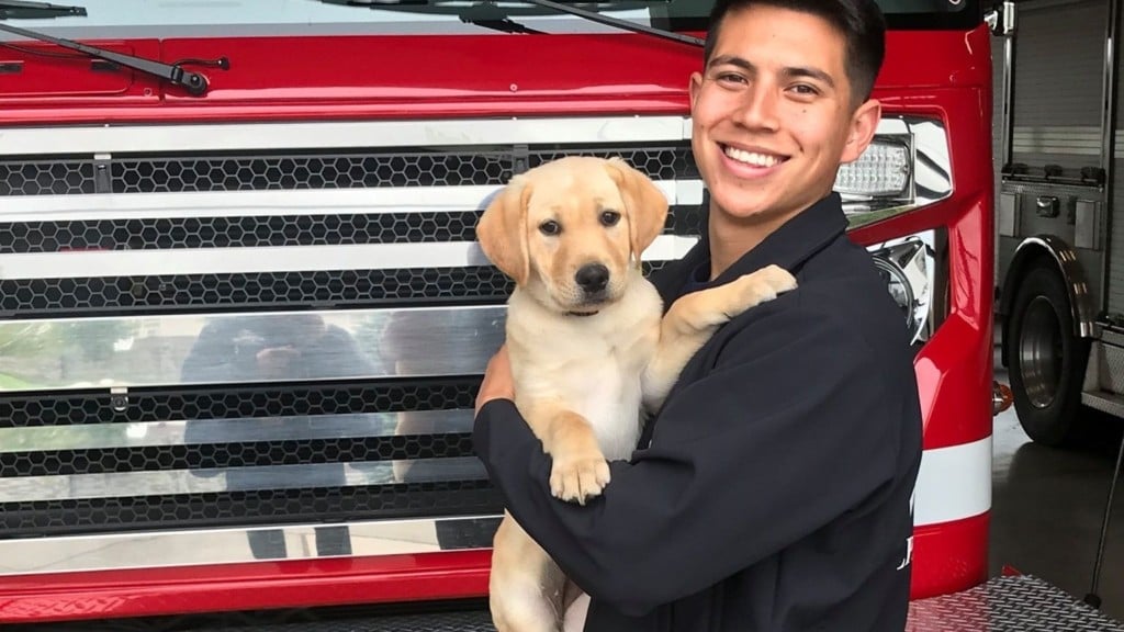 Coeur d’Alene Fire welcomes new member: Canine Lady