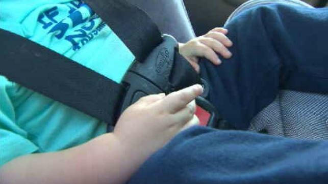 ‘I went right into the windshield’: police officer reflects on crash, new car seat regulations