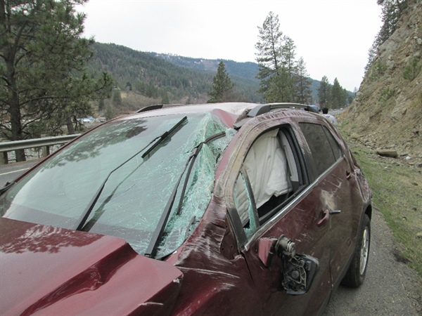 Bee causes rollover accident on Idaho Highway 7