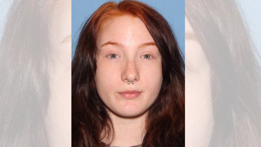 16-year-old missing from Lewiston found, police say