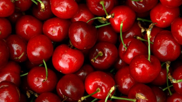 The 41st annual Cherry Pickers Trot returns Thursday at Green Bluff