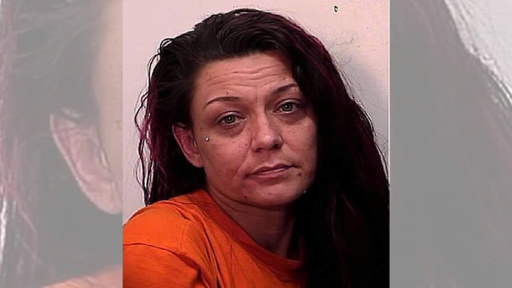 Homeless woman arrested for allegedly trafficking meth from Spokane to Latah County