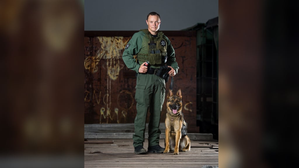 Domestic violence suspect arrested after located by K9 Bane