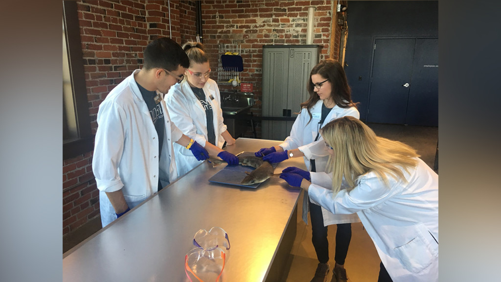 Mobius Science Center kicks-off Nerd Nights with a Dissection Date Night