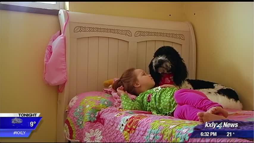 Dog brings hope, relief to little girl with liver disease