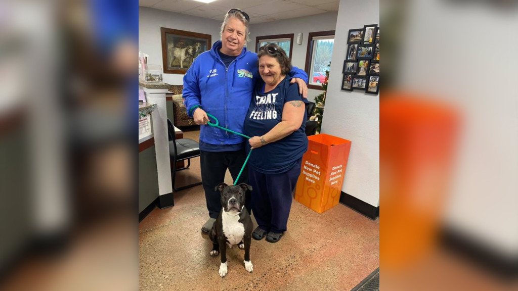 Long-term shelter dog adopted after ’12 Days of Dutch’
