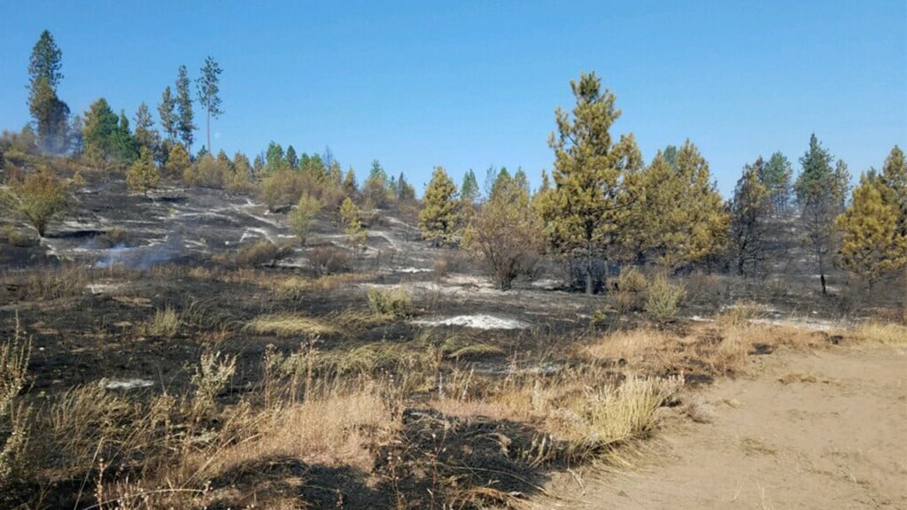Evacuations lifted for Fisher 231 Fire burning north of Reardan