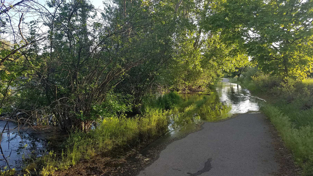 Sections of Centennial Trail flooded