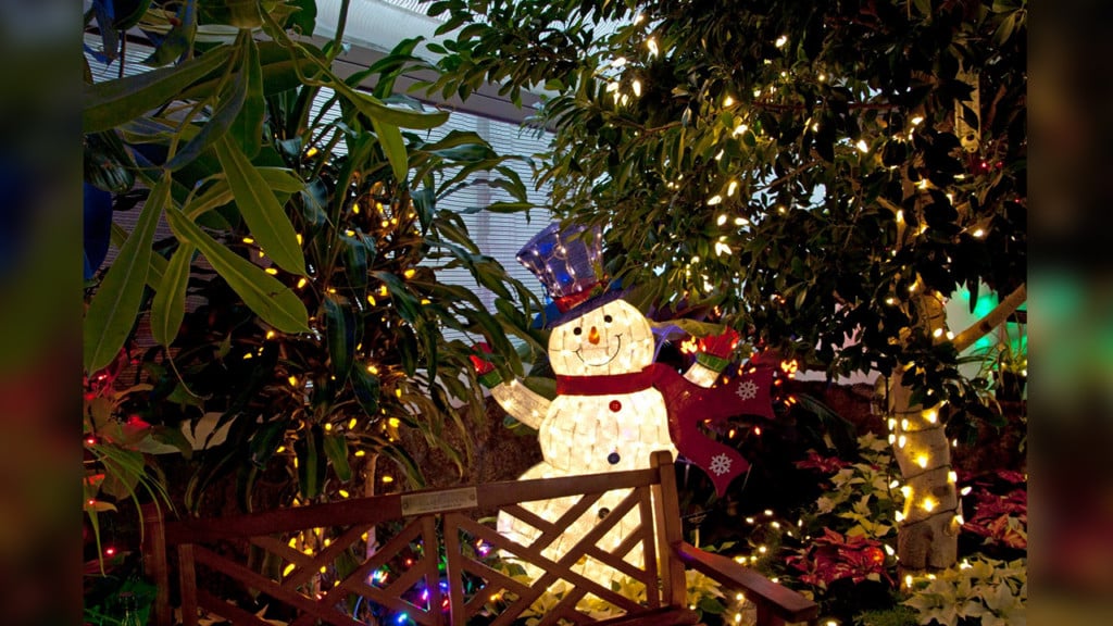 Gaiser Conservatory to light up for the holiday season
