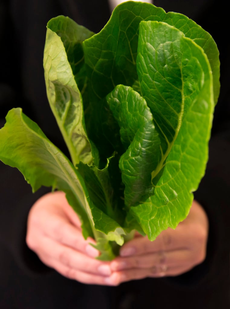 Deadly E.coli outbreak linked to romaine lettuce