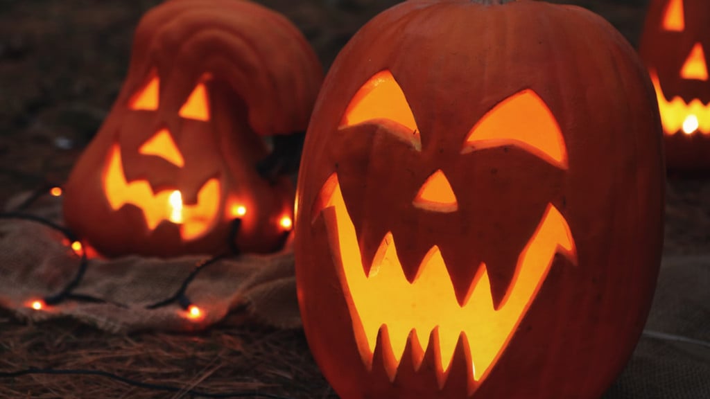 Your guide to a very Spook-ane Halloween