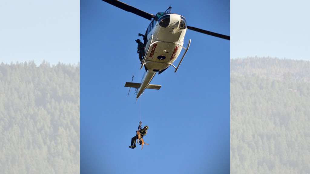 Spokane County K9s practice being hoisted from helicopters with their handlers