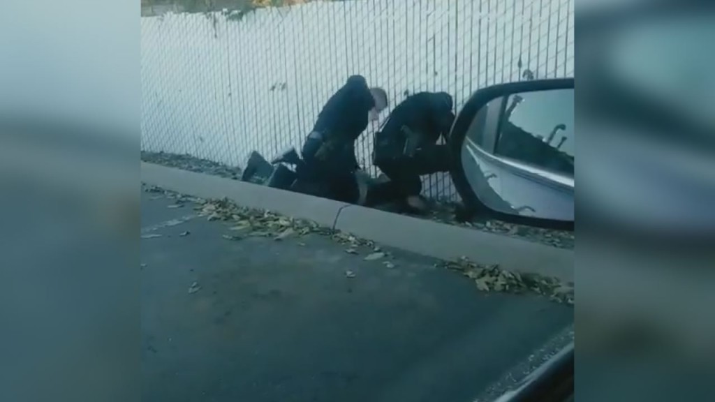Viral video shows Kennewick police officer punch theft suspect seven times