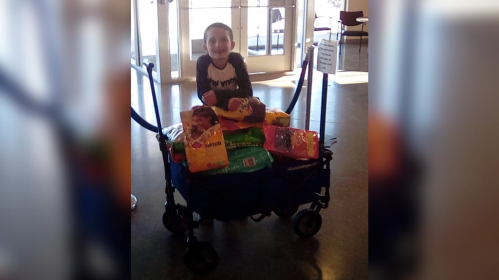Two children ask for pet food donations for birthday, donate to SCRAPS