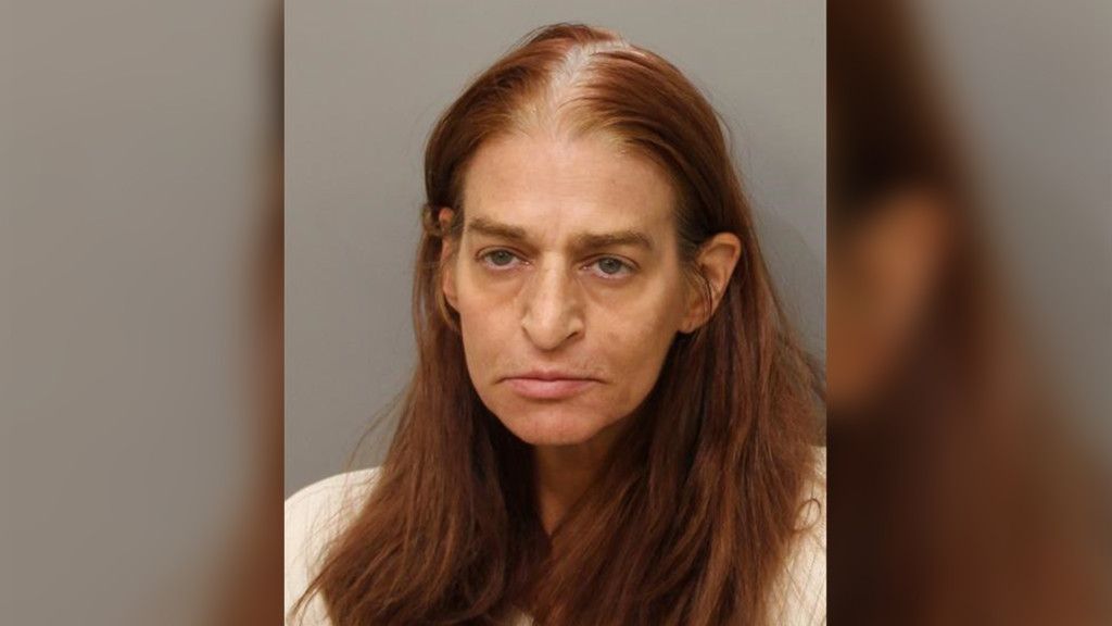 Woman arrested at a Hayden bank for ID theft, burglary, grand theft