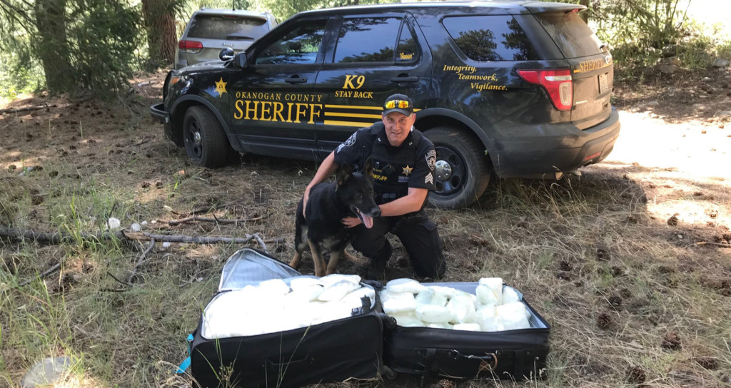 Authorities find one million dollars worth of meth in Okanogan National Forest