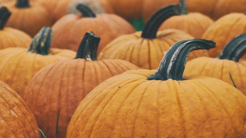 It’s your last chance to visit Green Bluff for the Fall Harvest Festival