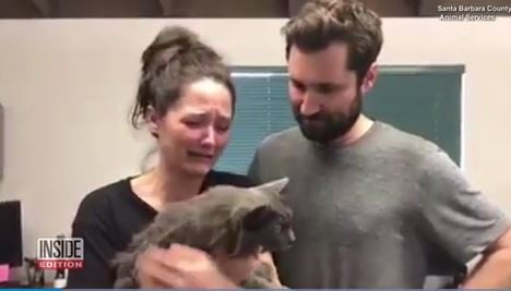 Couple cries as they’re reunited with lost cat following California mudslide