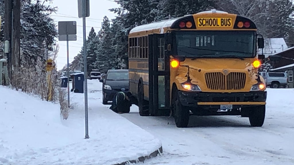 Icy roads send pickup truck crashing into school bus, sends another school bus off road