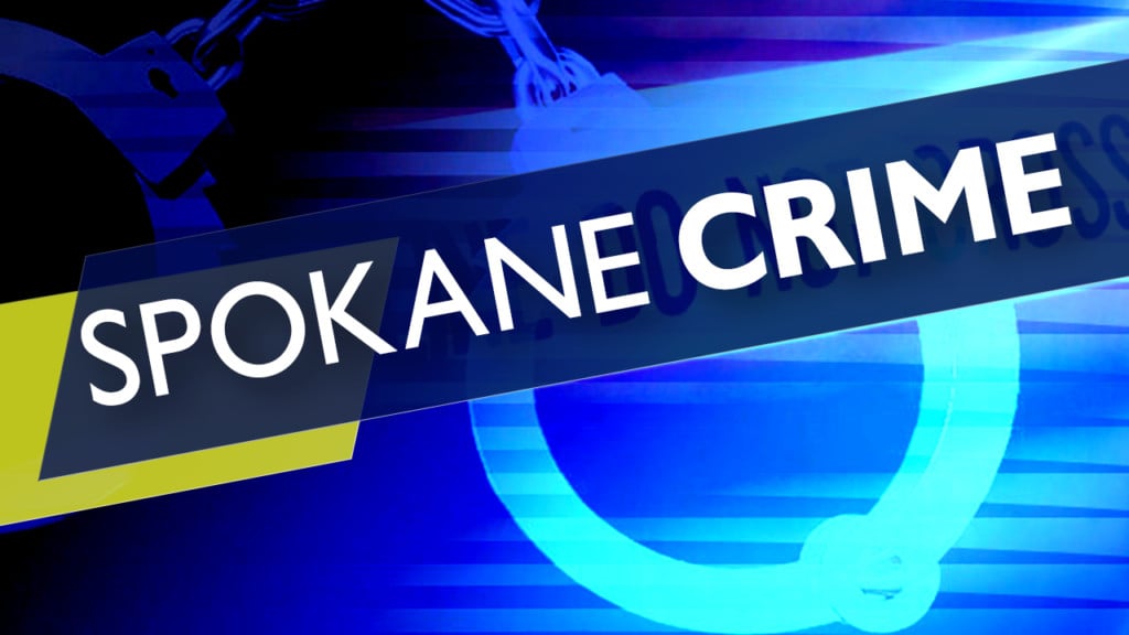 Elderly woman stabbed near northeast Spokane Albertsons