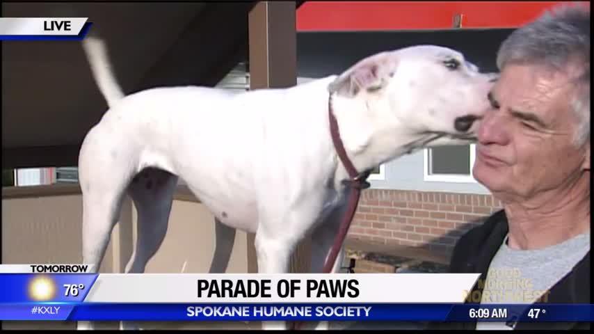 Spokane Humane Society preparing for Parade of Paws