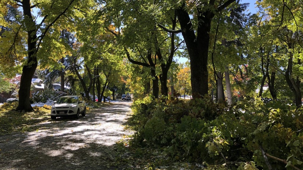 Free storm debris removal event saves Spokane citizens over $47,000