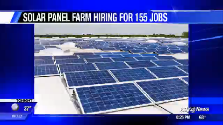 Solar project brings over 150 summer jobs to Lind