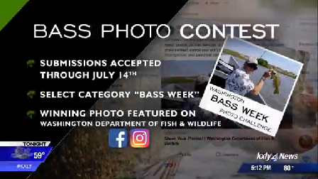 Submit your best bass photo to WDFW
